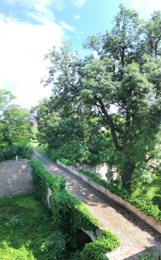 Ferienwohnung Schloss Schrattenthal Buitenkant foto